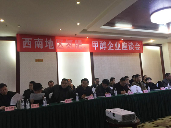 公司领导出席氮肥工业协会座谈会.jpg