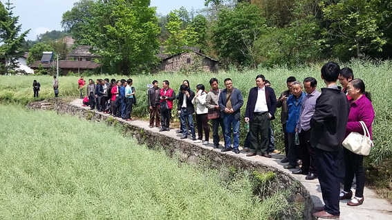 【我为美丰做营销】万源市召开油菜现场会暨订货会-1.jpg