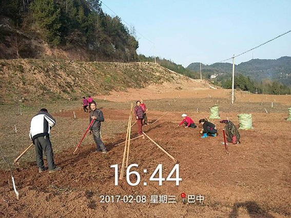 川东区域下村、下基地宣传.jpg